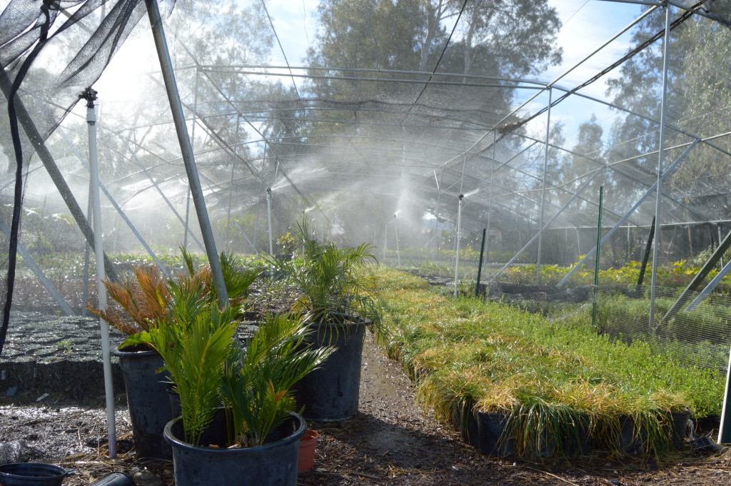 Landscaping Adam Hall's Plant Nursery